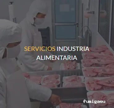 Quijote El Hidalgo SL