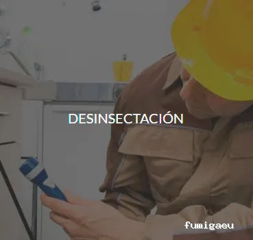 Quijote El Hidalgo SL