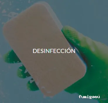 Quijote El Hidalgo SL