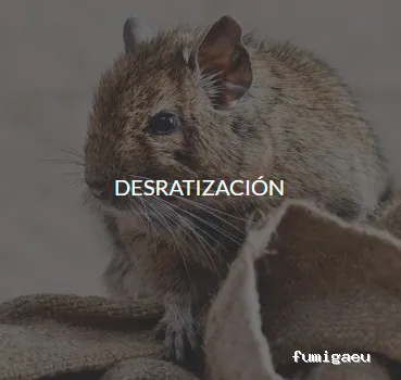 Quijote El Hidalgo SL