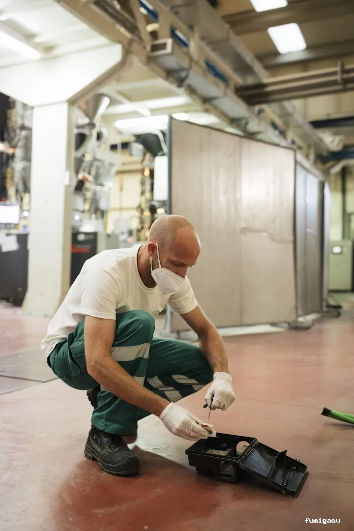 CASTOR Empresa de limpieza Málaga