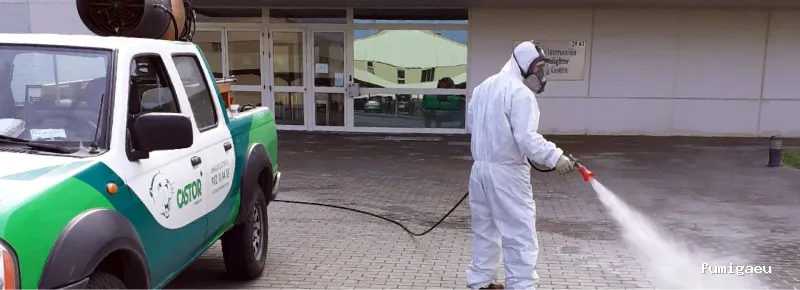 CASTOR Empresa de limpieza Málaga