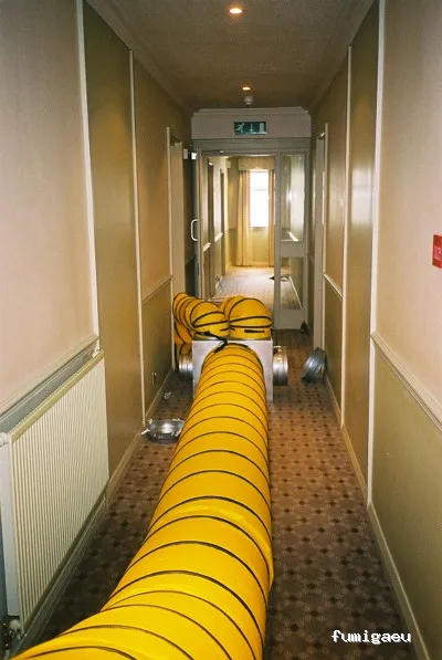 PLAGOO Gestión y Control de plagas