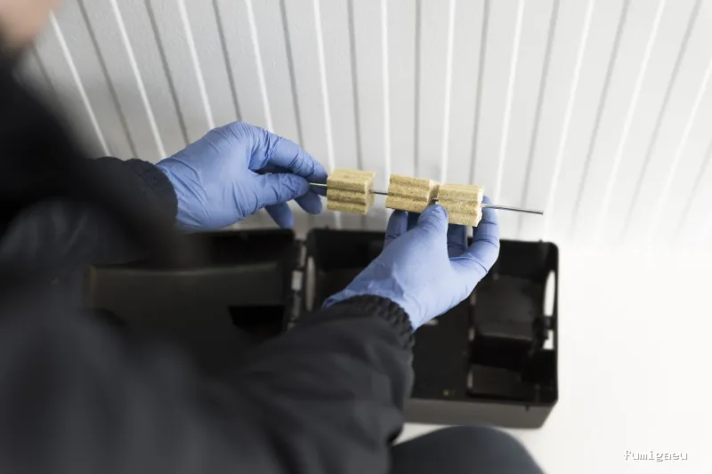 PLAGOO Gestión y Control de plagas