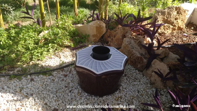 Desinfecciones de la Marina