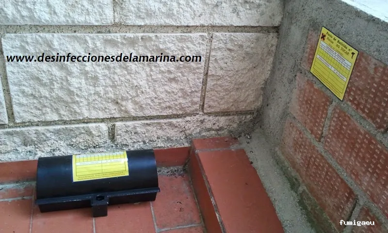 Desinfecciones de la Marina