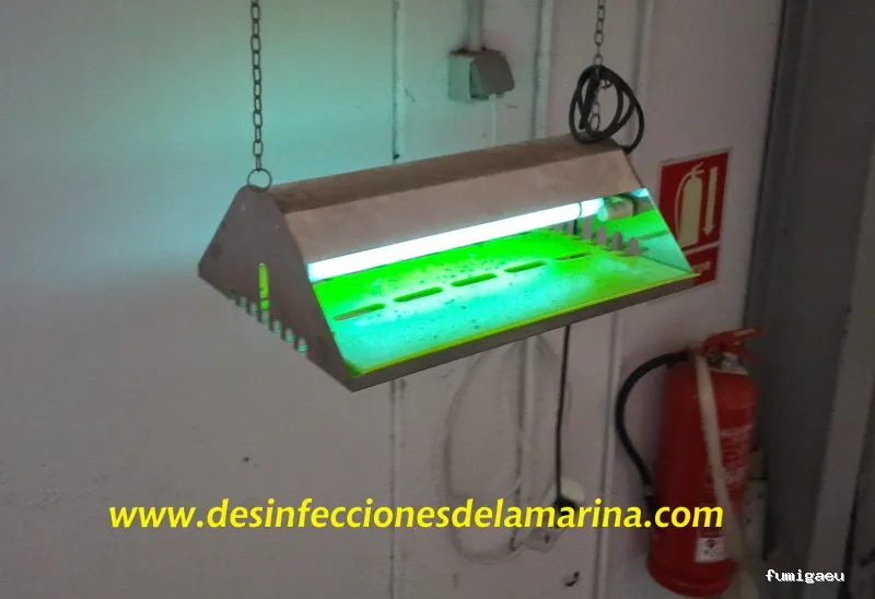 Desinfecciones de la Marina