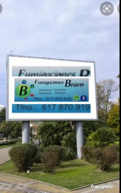 Fumigaciones Bravo