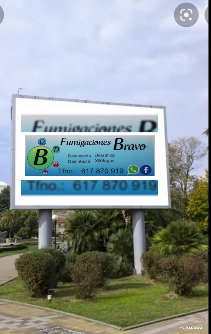 Fumigaciones Bravo
