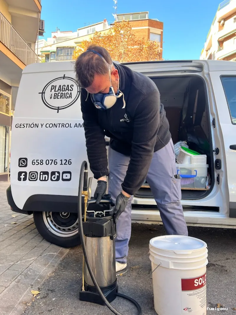 Plagas Ibérica