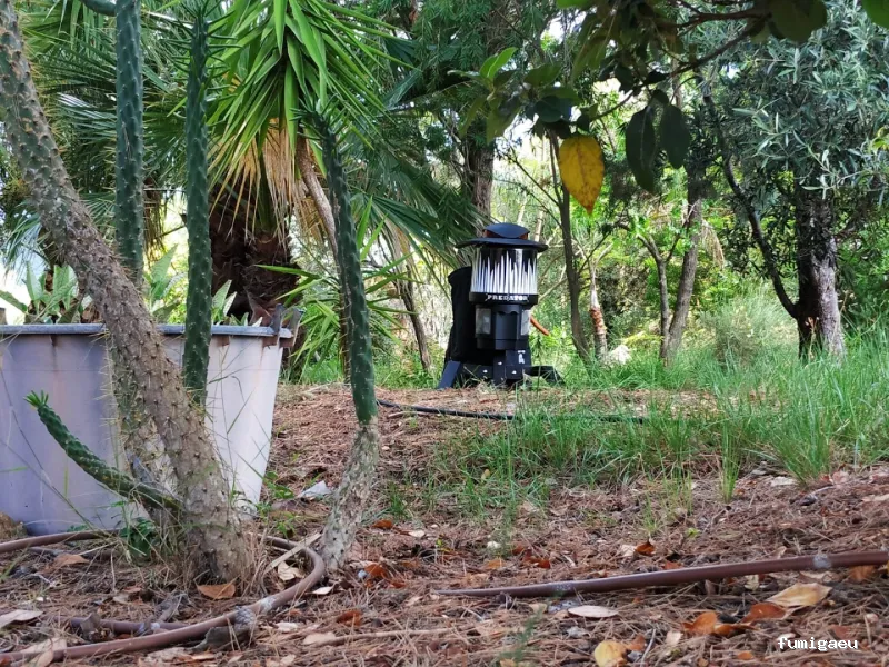 L'Artisan Control de Plagas