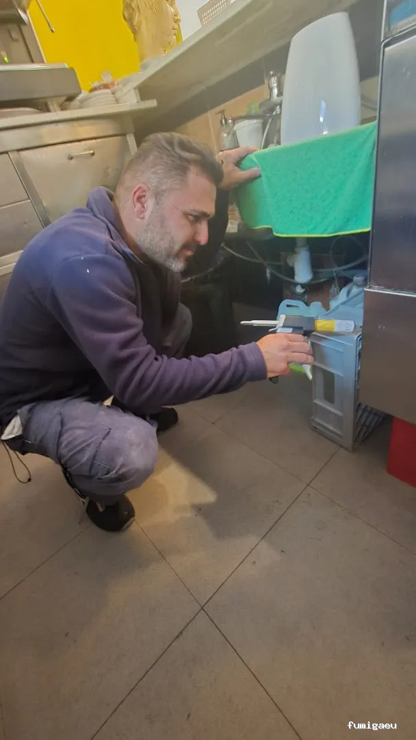 Econature Sanidad Ambiental y Control de Plagas Valencia