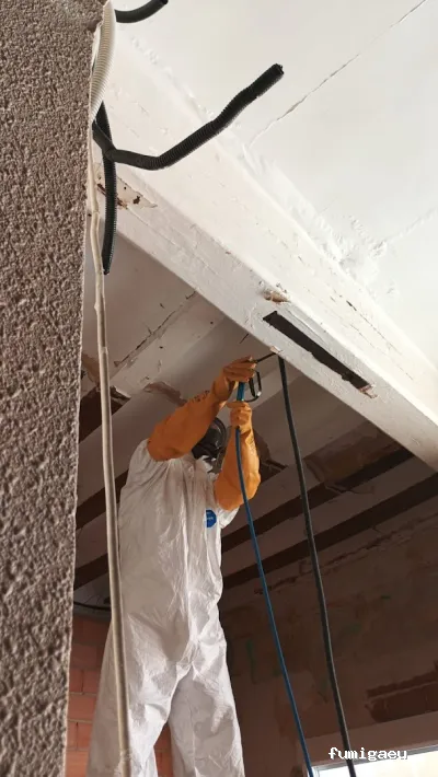 Econature Sanidad Ambiental y Control de Plagas Valencia