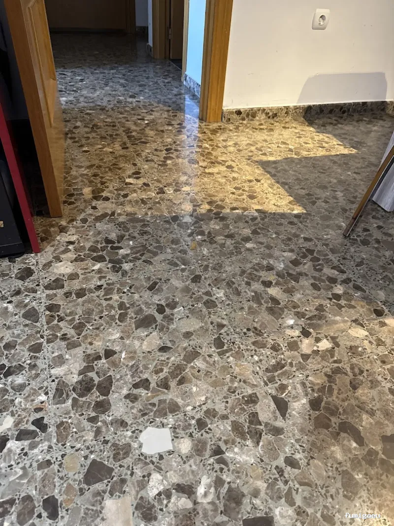 Econature Sanidad Ambiental y Control de Plagas Valencia