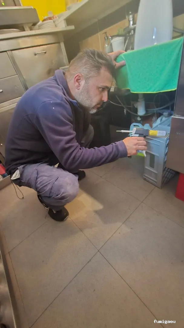 Econature Sanidad Ambiental y Control de Plagas Valencia