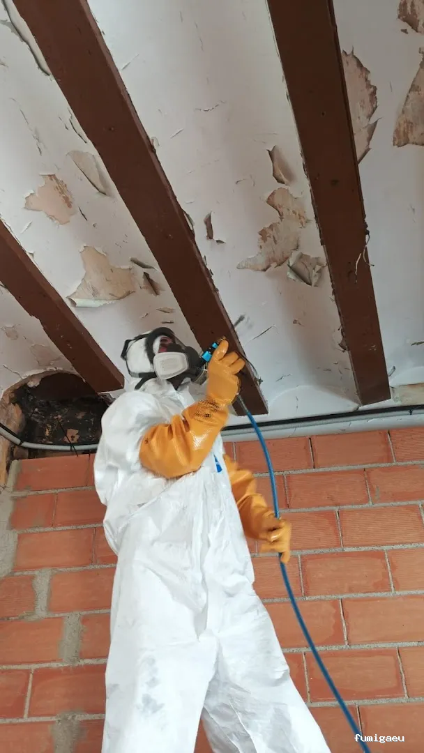 Econature Sanidad Ambiental y Control de Plagas Valencia