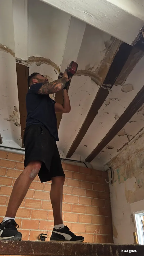 Econature Sanidad Ambiental y Control de Plagas Valencia