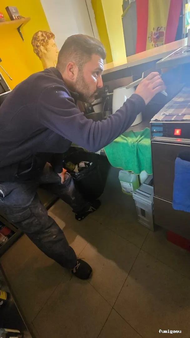 Econature Sanidad Ambiental y Control de Plagas Valencia