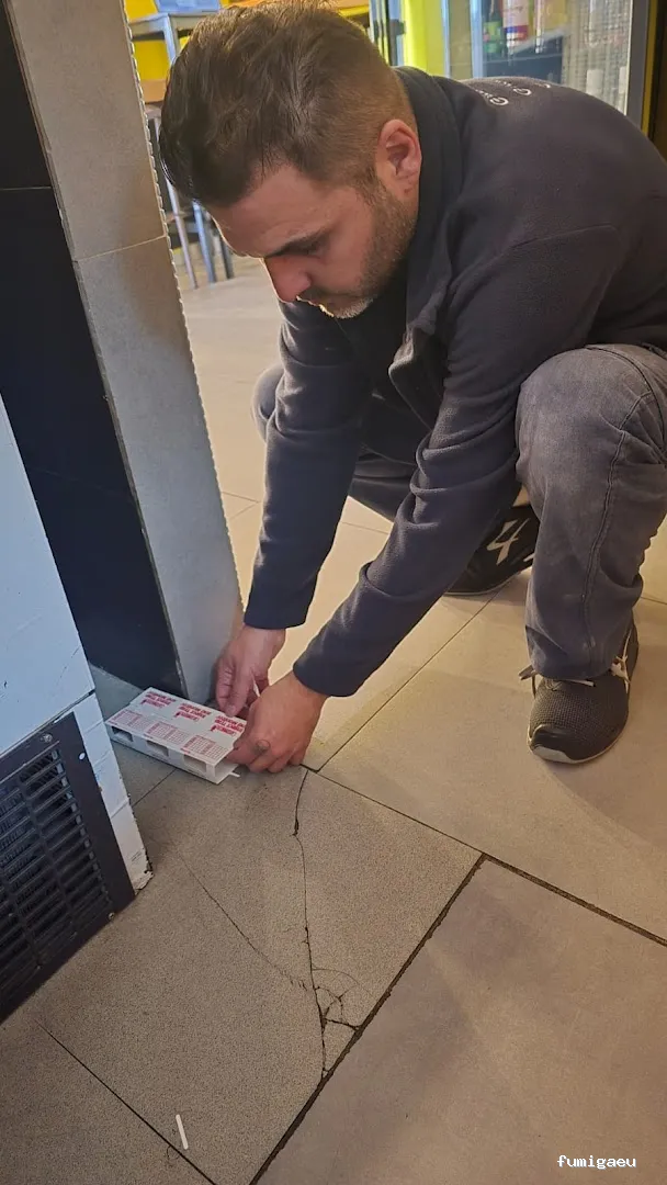 Econature Sanidad Ambiental y Control de Plagas Valencia