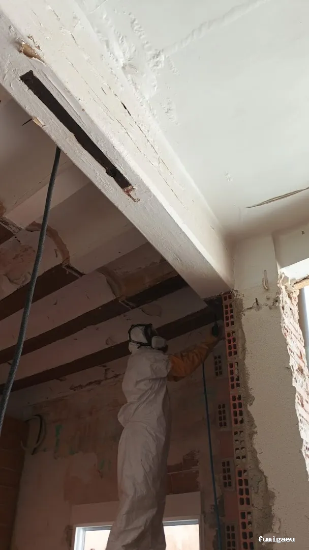 Econature Sanidad Ambiental y Control de Plagas Valencia