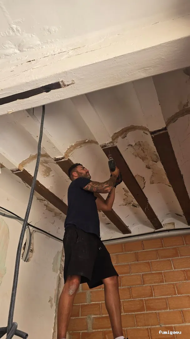 Econature Sanidad Ambiental y Control de Plagas Valencia