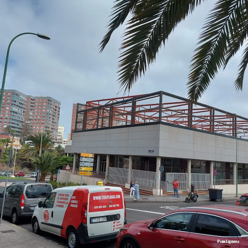 Teneplagas Gran Canaria