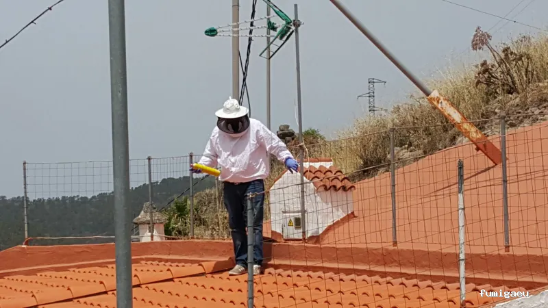 Teneplagas Gran Canaria