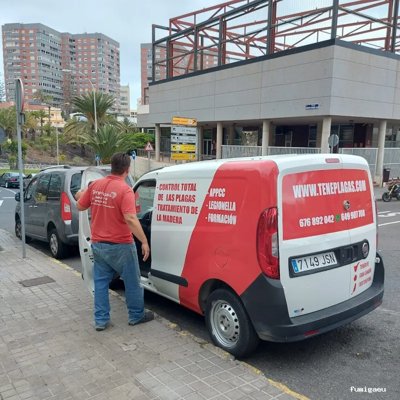 Teneplagas Gran Canaria
