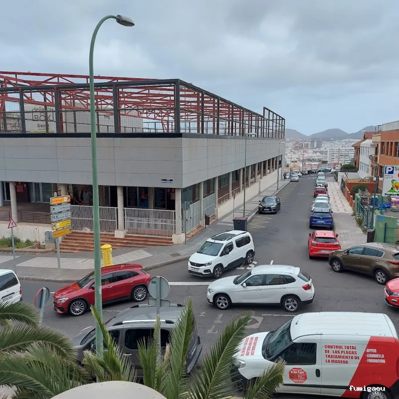 Teneplagas Gran Canaria