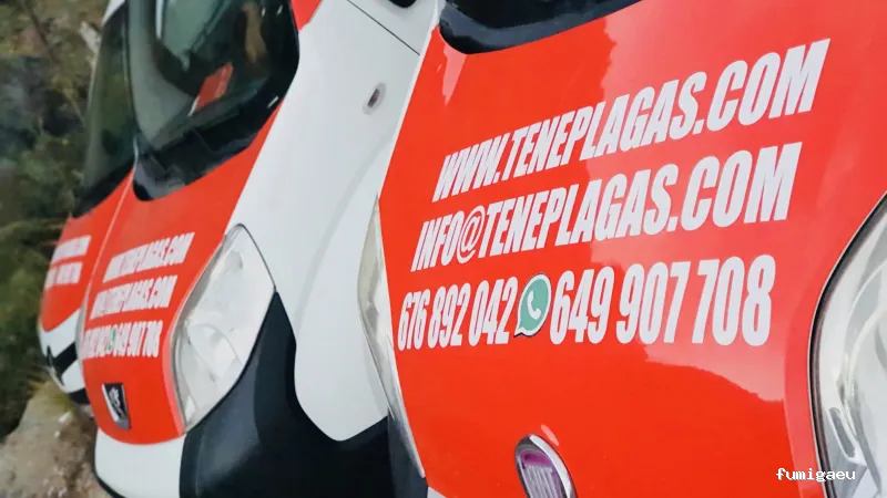 Teneplagas Gran Canaria