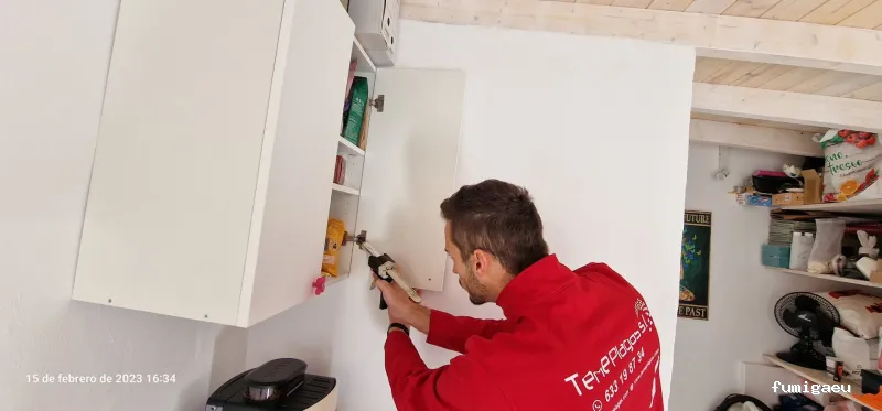 Teneplagas Gran Canaria