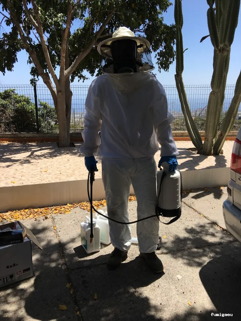 Teneplagas Gran Canaria