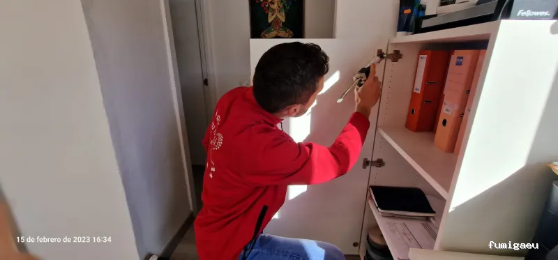 Teneplagas Gran Canaria