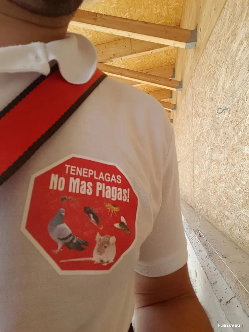 Teneplagas Gran Canaria