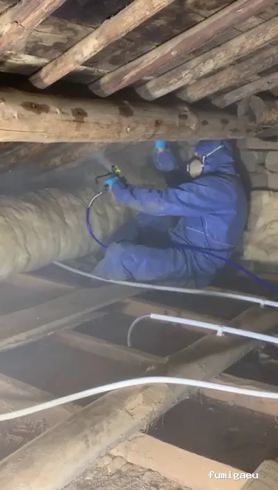 Kisal Sanidad Ambiental