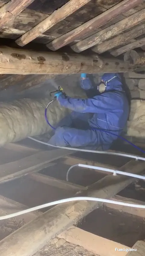 Kisal Sanidad Ambiental