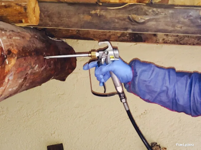 Kisal Sanidad Ambiental