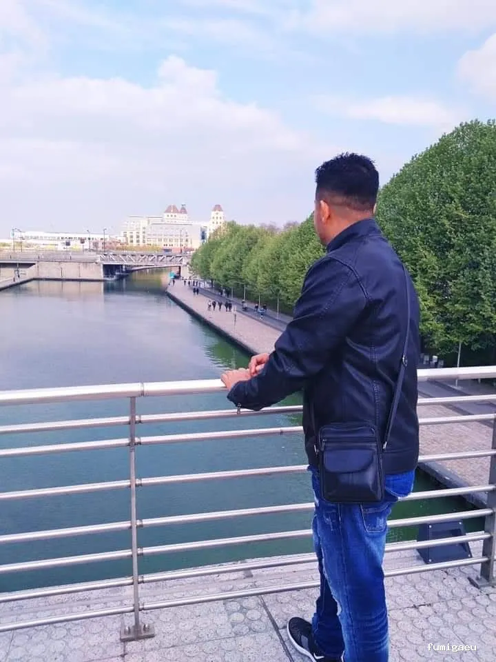 Barcelona Termitas — Soluciones Definitivas contra Plagas