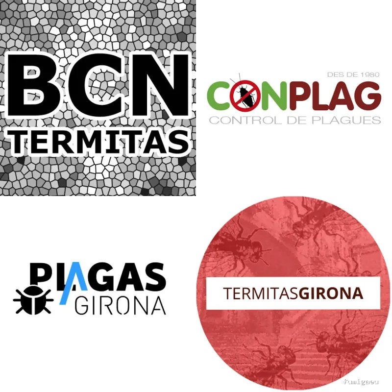 Barcelona Termitas — Soluciones Definitivas contra Plagas