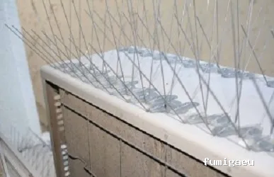 COPLAGA Control de Plagas Cádiz S.L