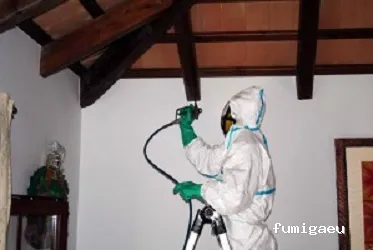 COPLAGA Control de Plagas Cádiz S.L