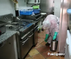 COPLAGA Control de Plagas Cádiz S.L