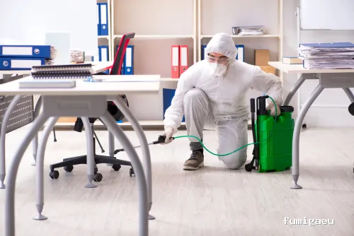 Desinfecciones Químicas Acosta