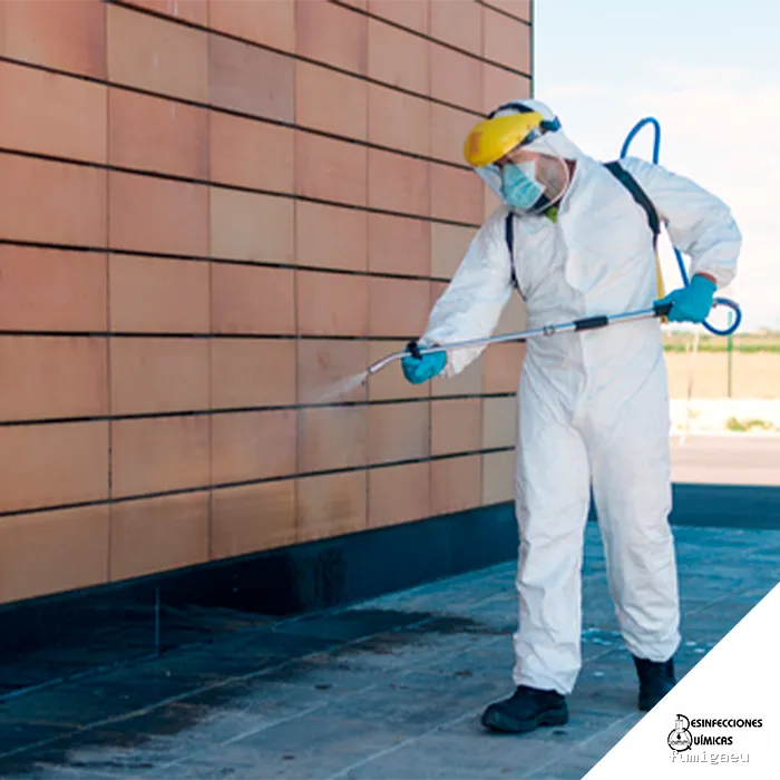 Desinfecciones Químicas Acosta