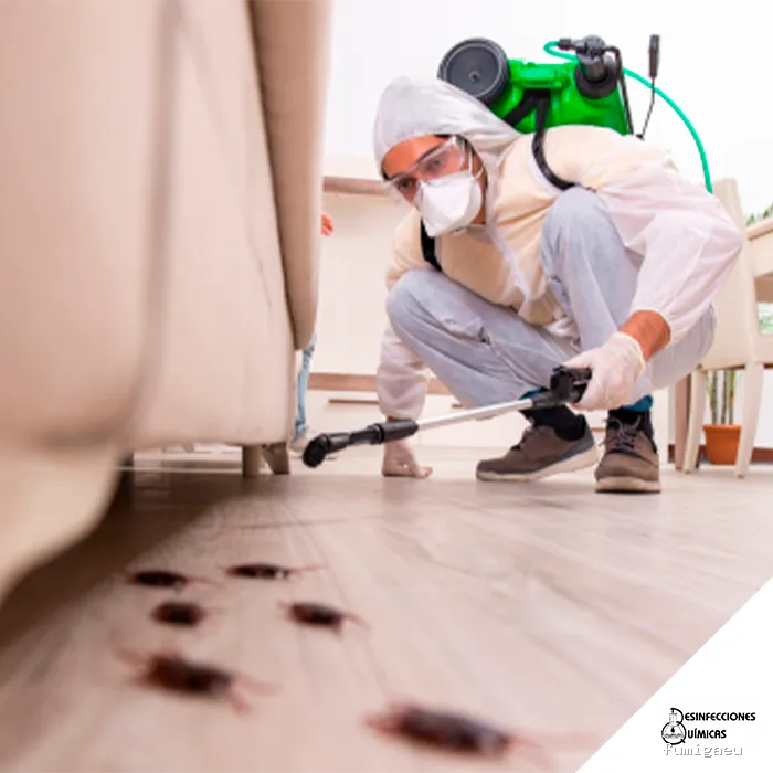 Desinfecciones Químicas Acosta