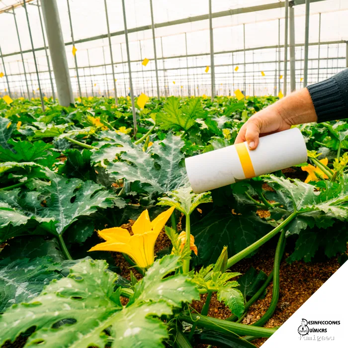 Desinfecciones Químicas Acosta