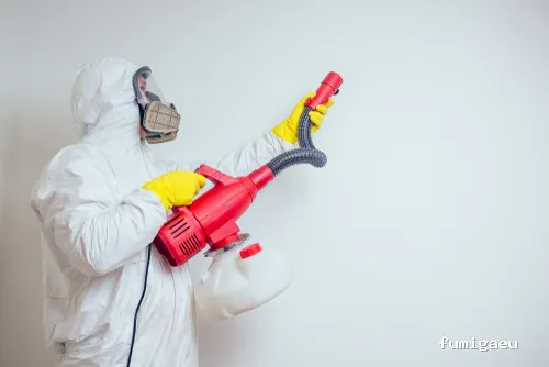 Desinfecciones Químicas Acosta