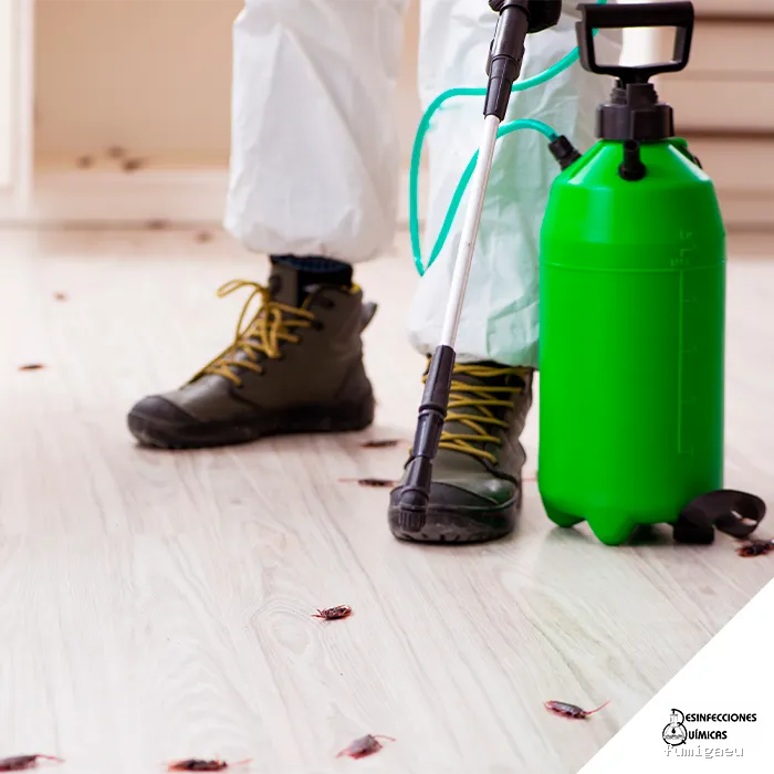 Desinfecciones Químicas Acosta