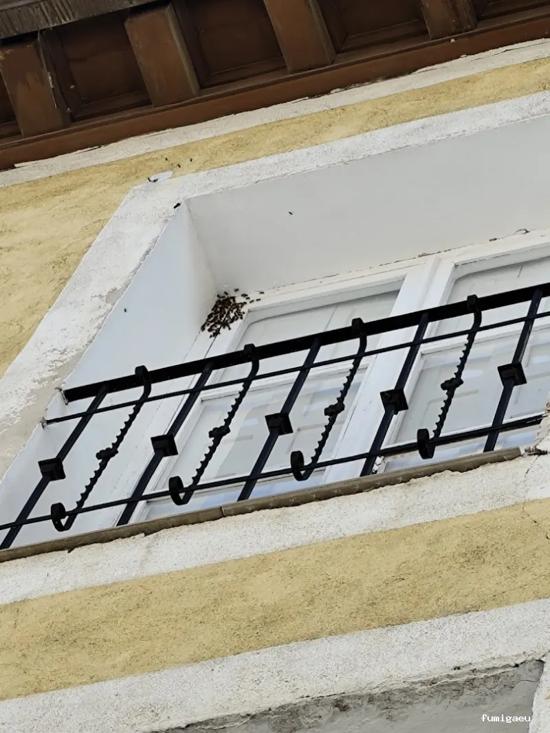 CONTROL PLAGAS ARANJUEZ, 3D