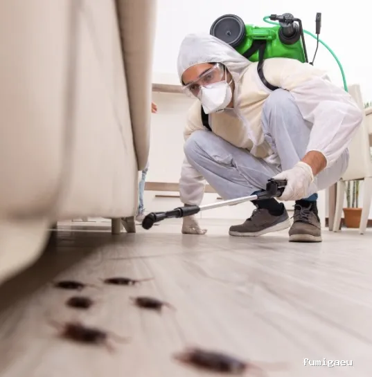 CONTROL PLAGAS ARANJUEZ, 3D